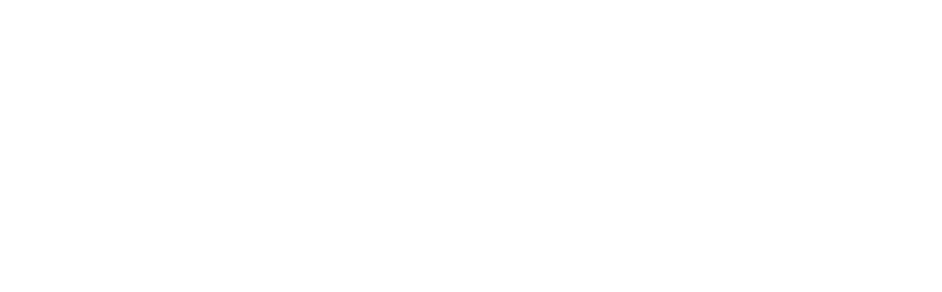 Logo Vittorio Mazzocca Gamba Avvocato Penalista bianco.